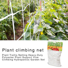 Load image into Gallery viewer, Mesh 5/10m Polyester Net Loofah Netting For Morning Glory Vine Flowers Garden Plants Climbing Net Cucumber Vine Grow Holder